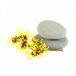 Herbs for Topical Hemorrhoid Relief